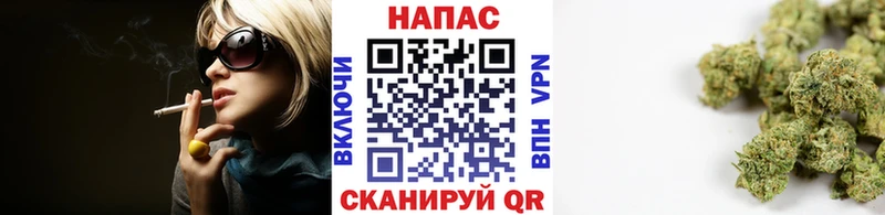 купить закладку  Нижняя Тура  Бошки Шишки ГИДРОПОН 